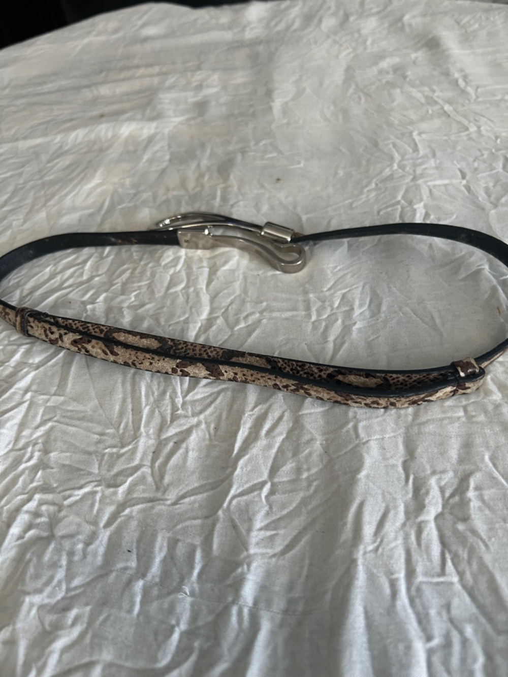 Women’s Thin Snake-Print Belt with Silver Hardware - Taupe - Picture 3 of 5